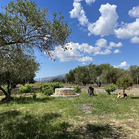 Margarita * Metaxata