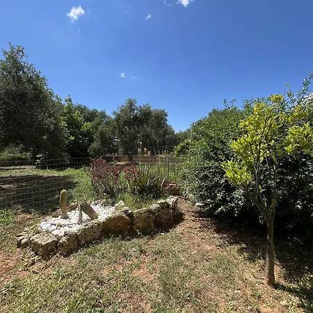 Apartment Margarita *